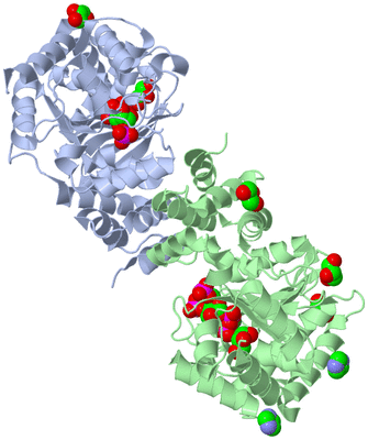 Image Asym./Biol. Unit