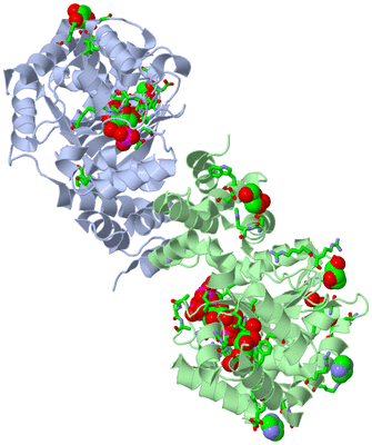 Image Asym./Biol. Unit - sites