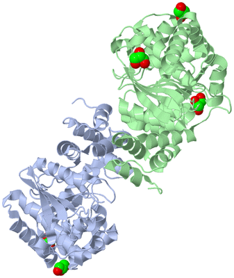 Image Asym./Biol. Unit