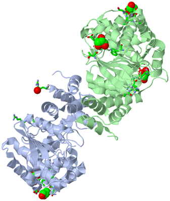 Image Asym./Biol. Unit - sites