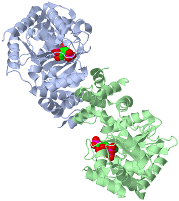 Image Asym./Biol. Unit