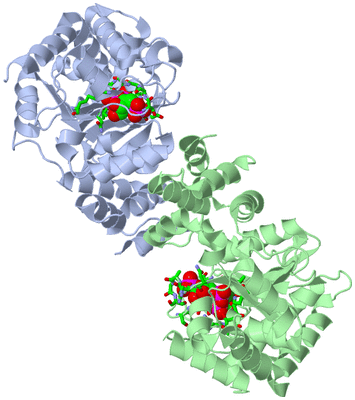 Image Asym./Biol. Unit - sites