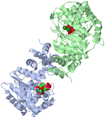 Image Asym./Biol. Unit