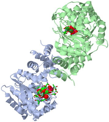 Image Asym./Biol. Unit - sites