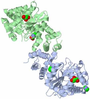 Image Asym./Biol. Unit