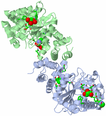 Image Asym./Biol. Unit - sites