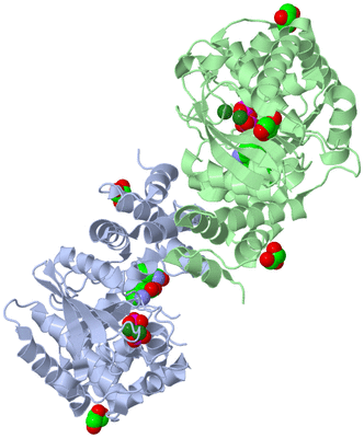 Image Asym./Biol. Unit