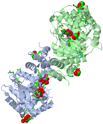 Image Asym./Biol. Unit - sites