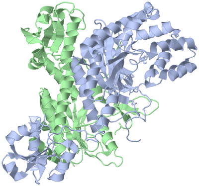 Image Asym./Biol. Unit