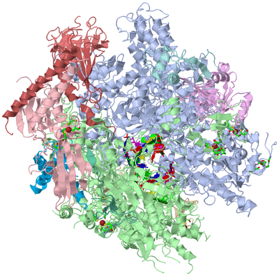 Image Asym./Biol. Unit - sites