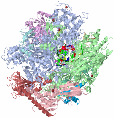 Image Asym./Biol. Unit