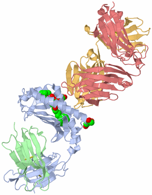 Image Biological Unit 1