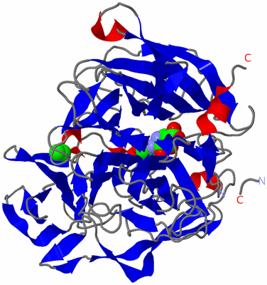 Image Asym./Biol. Unit