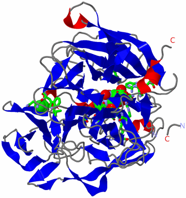 Image Asym./Biol. Unit - sites