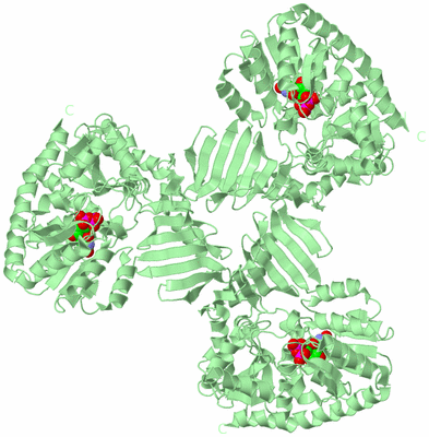 Image Biological Unit 2