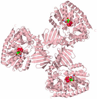 Image Biological Unit 3