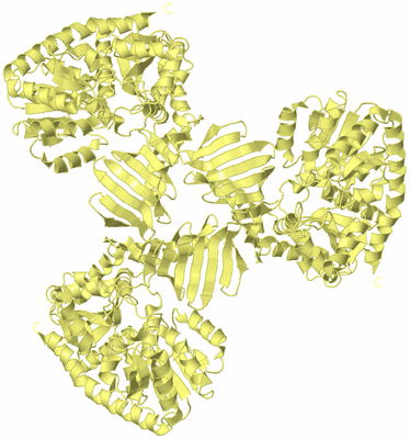 Image Biological Unit 4