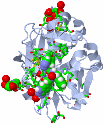 Image Biol. Unit 1 - sites