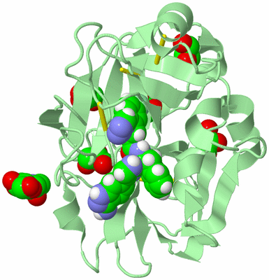 Image Biological Unit 2