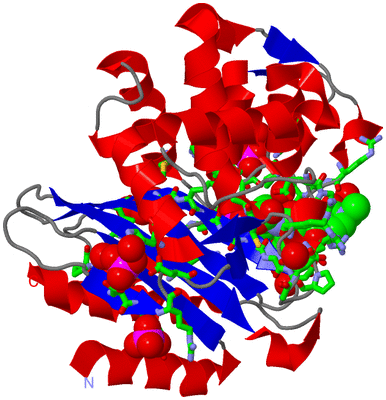 Image Asym./Biol. Unit - sites