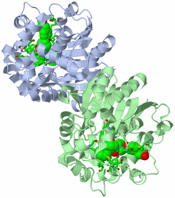 Image Asym./Biol. Unit - sites