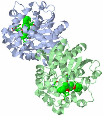 Image Asym./Biol. Unit - sites