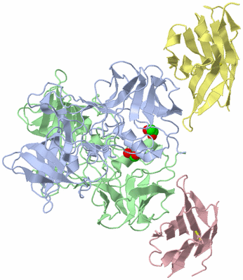 Image Asym./Biol. Unit