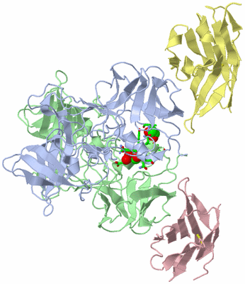 Image Asym./Biol. Unit - sites