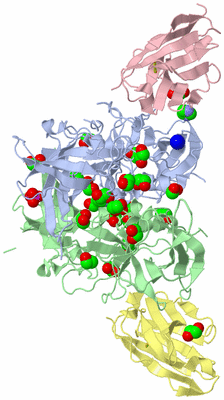 Image Asym./Biol. Unit