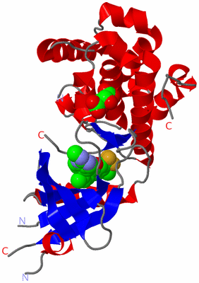 Image Asym./Biol. Unit