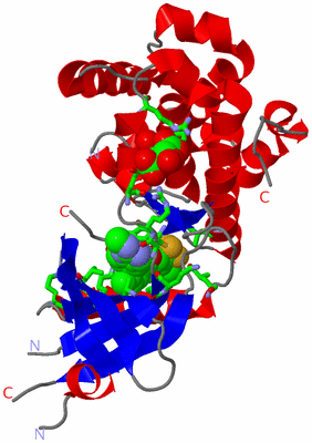 Image Asym./Biol. Unit - sites