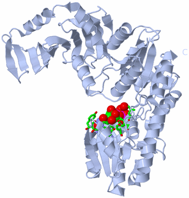 Image Biol. Unit 1 - sites