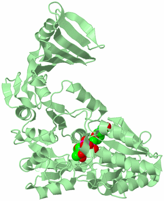 Image Biological Unit 2