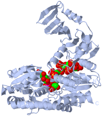 Image Biological Unit 1