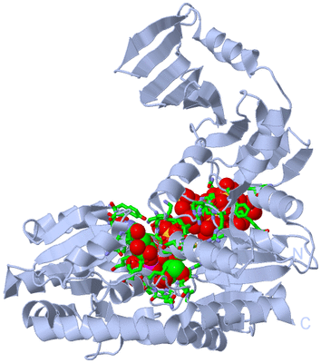 Image Biol. Unit 1 - sites