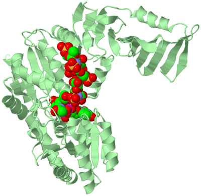 Image Biological Unit 2