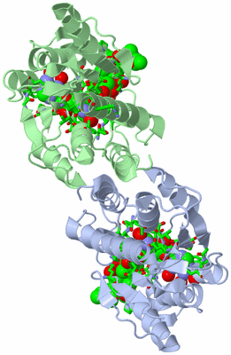 Image Asym./Biol. Unit - sites