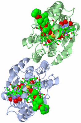 Image Asym./Biol. Unit - sites