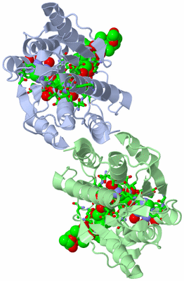 Image Asym./Biol. Unit - sites