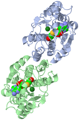 Image Asym./Biol. Unit