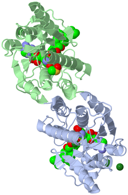 Image Asym./Biol. Unit