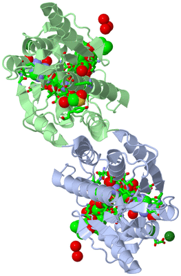 Image Asym./Biol. Unit - sites