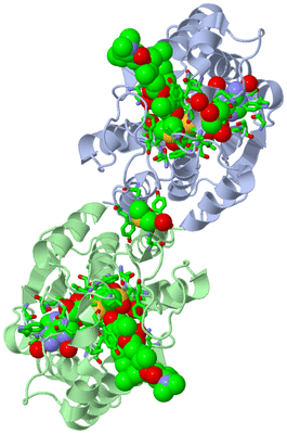 Image Asym./Biol. Unit - sites