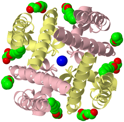 Image Biological Unit 2