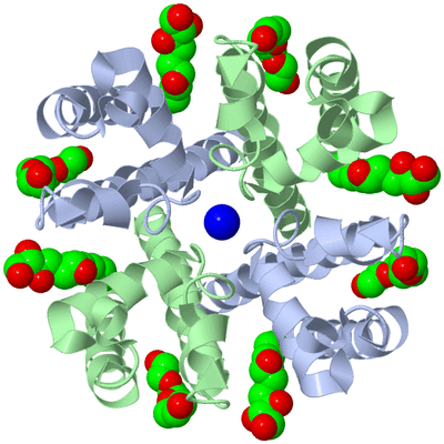 Image Biological Unit 1