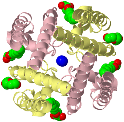 Image Biological Unit 2