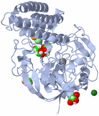 Image Biological Unit 1