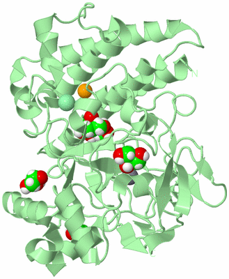 Image Biological Unit 2