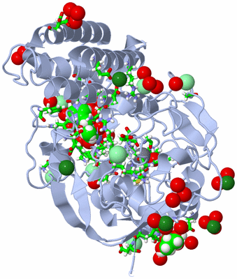 Image Biol. Unit 1 - sites