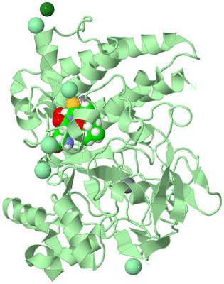 Image Biological Unit 2